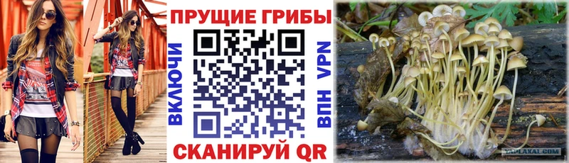 Галлюциногенные грибы мухоморы  Белогорск 
